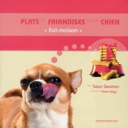 Plats et friandises pour chien fait-maison
