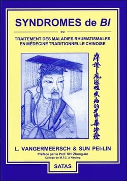 Syndromes de bi - ou traitement des maladies rhumatismales en médecine traditionnelle chinoise