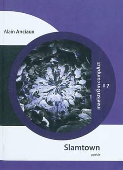 Slamtown : ethnographie alternative d'une metropole eurasienne