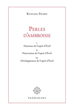 PERLES D'AMBROISIE, COMMENTAIRE LITTERAL DE LA MARCHE VERS L'EVEIL