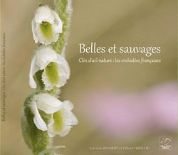 Belles et sauvages - les orchidees françaises