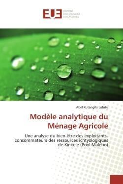 Modele analytique du menage agricole