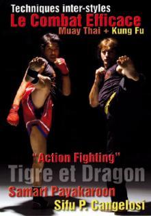 Le combat efficace muay thai kung fu
