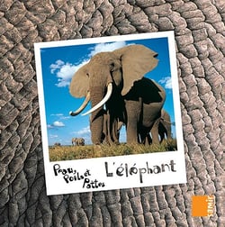 PEAU, POILS ET PATTES : l'éléphant