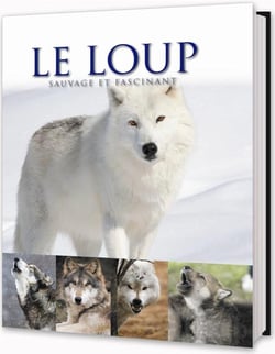 LES GRANDS FELINS