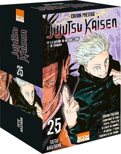 Jujutsu Kaisen Tome 25