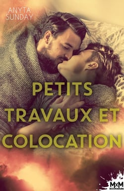 Petits travaux et colocation : Un foyer à construire, T2