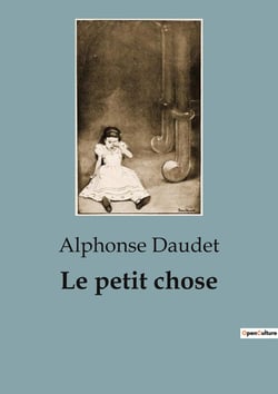 Le petit chose : Chronique d'une enfance et d'une quête identitaire