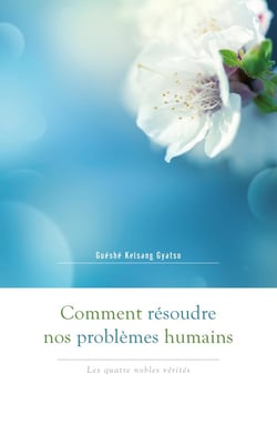 Comment résoudre nos problèmes humains - les quatre nobles vérités