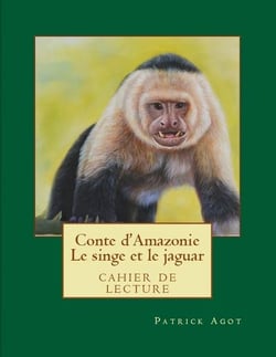 Le singe et le jaguar t.1 - cahier de lecture