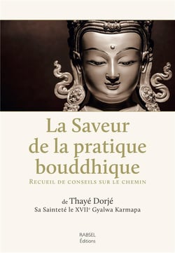 La saveur de la pratique bouddhique - recueil de conseil sur le chemin