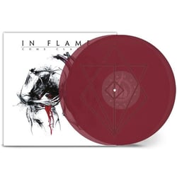 Come Clarity - édition limitée