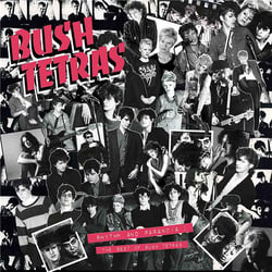 Rhythm And Paranoia : The Best of Bush Tetras