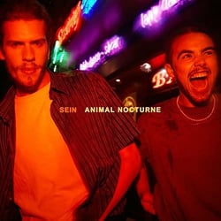 Animal nocturne