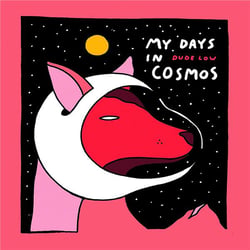 My days in cosmos