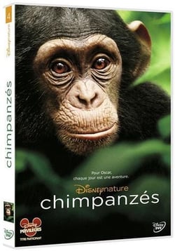 Chimpanzés