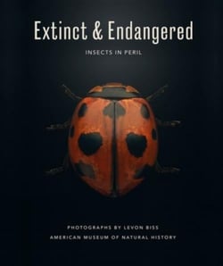 Extinct & endangered : insects in peril