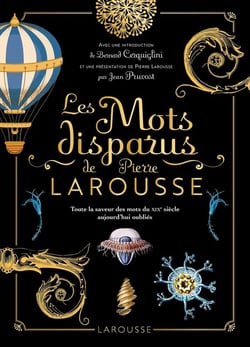 Les mots disparus de Pierre Larousse