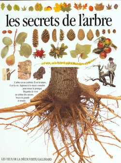 Les secrets de l'arbre