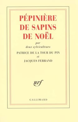 Pepiniere de sapins de noel, par deux sylviculteurs