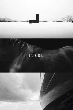 Liaigre : 12 Projects