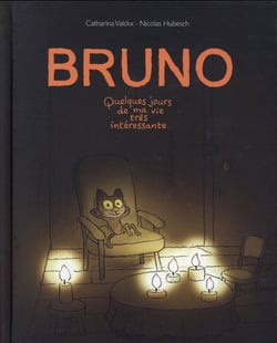 bruno quelques jours de ma vie tres interessante