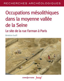Recherches archéologiques n.24 : occupations mésolithiques dans la moyenne vallée de la Seine : le site de la rue Farman à Paris