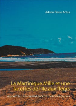 La martinique, mille et une facettes de l'île aux fleurs - aujourd'hui encore nos encêtres sont des gaulois