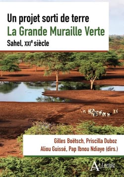 Un projet sorti de terre : La grande muraille verte - Dynamiques sahéliennes