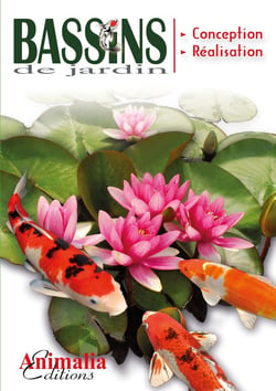 Le guide des bassins de jardin