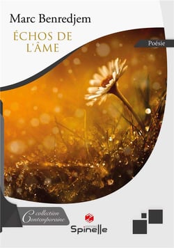 Échos de l'âme
