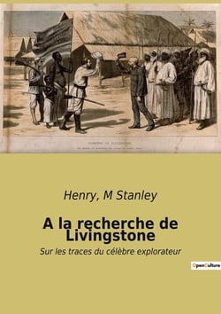 A la recherche de Livingstone : Sur les traces du célèbre explorateur