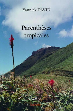 Parentheses tropicales