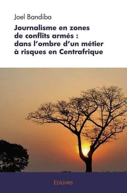 Journalisme en zones de conflits armes : dans l'ombre d'un metier a risques en centrafrique