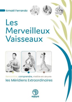 Les merveilleux vaisseaux : Rencontrer, comprendre, mettre en oeuvre les méridiens extraordinaires