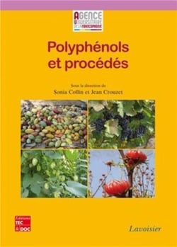 Polyphénols et procédés : Transformation des polyphénols au travers des procédés appliqués à l'agroalimentaire