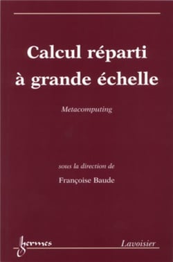 Calcul réparti à grande échelle: Métacomputing