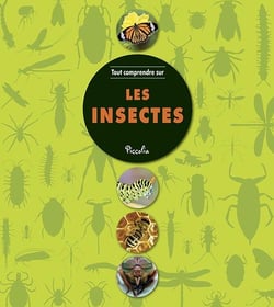 Tout comprendre - les insectes