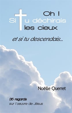 Oh! si tu déchirais les cieux et si tu descendais ? 35 regards sur l'oeuvre de jésus