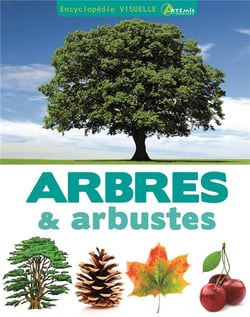 Arbres