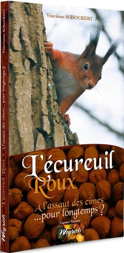 L'écureuil roux