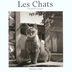 Les chats - photographies et poèmes