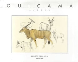 Quiçama angola