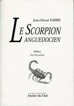 Le scorpion languedocien