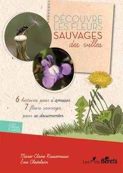 D2couvre les fleurs sauvages des villes