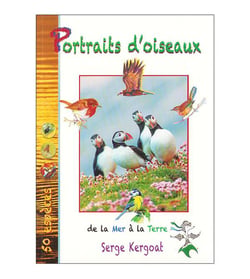 Portraits d'oiseaux de la mer à la terre