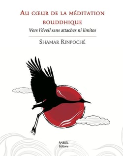 Au coeur de la méditation bouddhique - vers l'éveil sans attaches ni limites