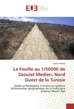 La feuille au 1/50000 de Zaouiet Medien, nord ouest de la Tunisie - étude archéologique à travers un système d'information géographique de la préhistoire jusqu'au Moyen Age