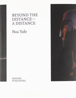 Beyond the distance ? a distance