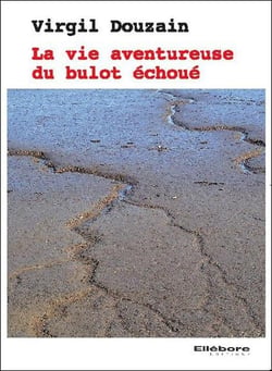 La vie aventureuse du bulot échoué